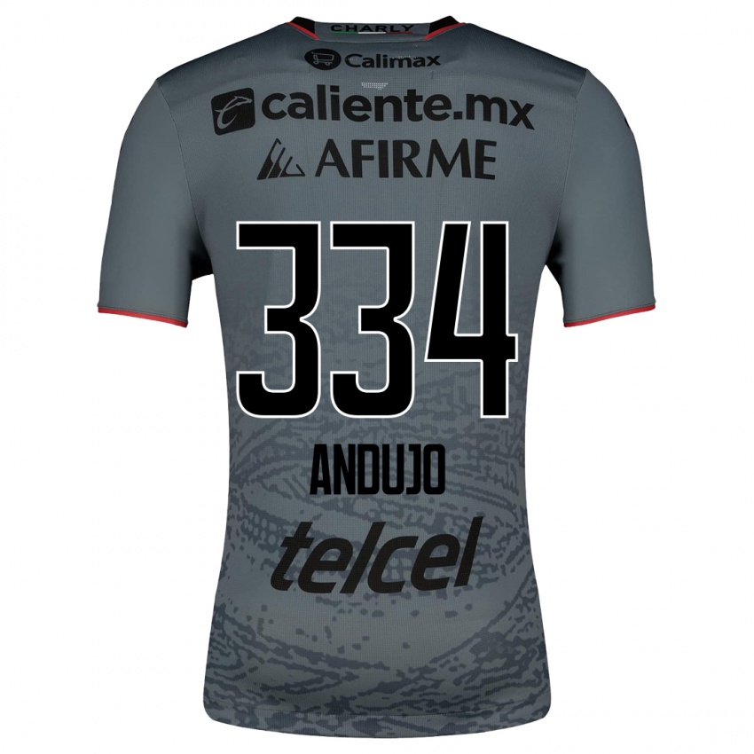Enfant Maillot Favio Andujo #334 Gris Tenues Extérieur 2023/24 T-Shirt Belgique