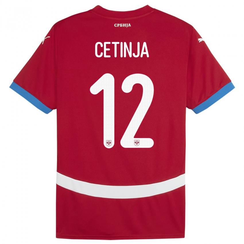 Kinder Serbien Sara Cetinja #12 Rot Heimtrikot Trikot 24-26 T-Shirt Belgien