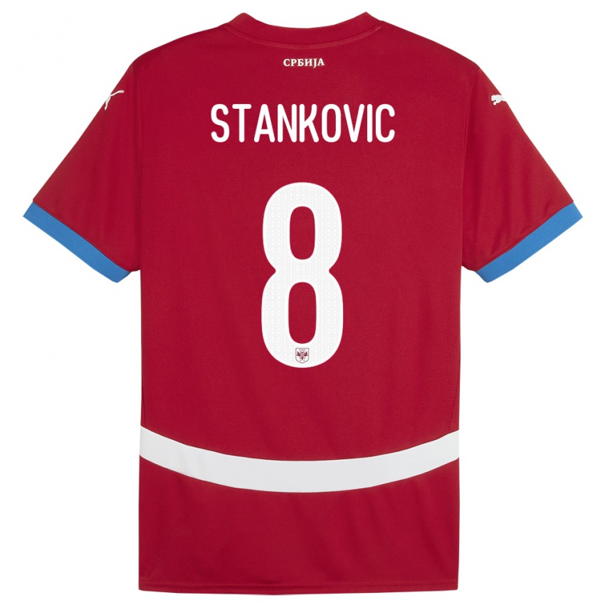 Homme Maillot Serbie Nikola Stankovic #8 Rouge Tenues Domicile 24-26 T-Shirt Belgique