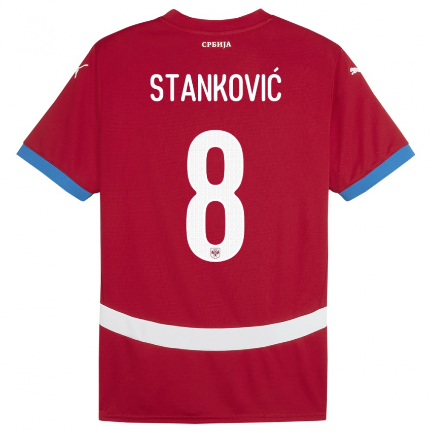 Homme Maillot Serbie Aleksandar Stankovic #8 Rouge Tenues Domicile 24-26 T-Shirt Belgique
